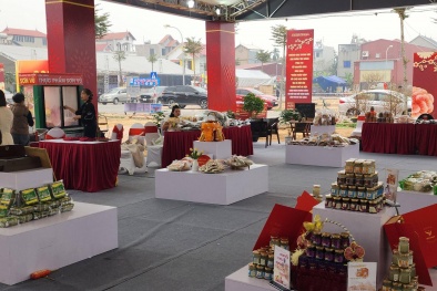 Tôn vinh sản phẩm truyền thống của xã Đông Anh tại “Xuân Đoàn Viên”