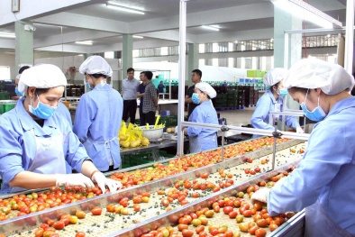 Thúc đẩy tăng năng suất chất lượng bền vững cho các doanh nghiệp khu vực Tây Nguyên