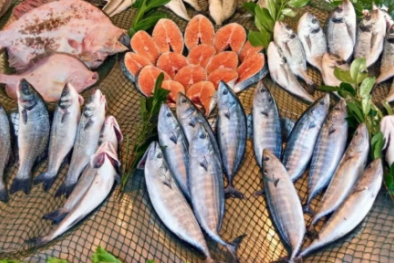 TCVN 14443:2025 xác định hàm lượng thủy ngân hữu cơ trong thủy sản