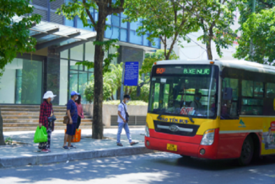 TCVN 14314:2025 chuẩn hóa mục tiêu và đo lường chất lượng dịch vụ vận tải công cộng