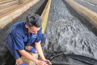 Công cụ cải tiến Lean lan tỏa trong doanh nghiệp sản xuất: Hiệu quả từ Chương trình 1322