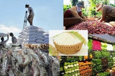 Tăng tốc xuất khẩu nông - lâm - thủy sản hướng tới mục tiêu 74 tỷ USD