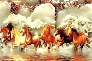 Mã đáo thành công