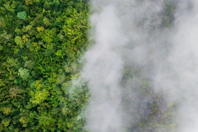 Ban hành tiêu chuẩn mới về thuật ngữ thích ứng biến đổi khí hậu cho cộng đồng