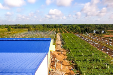 Doanh nghiệp Long An chuyển mình nhờ nâng cao năng suất và chất lượng sản phẩm