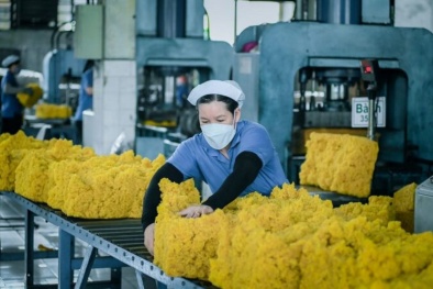 Nâng năng suất, kiểm soát chi phí: Động lực tăng trưởng mới của ngành cao su