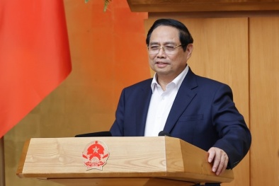 Tăng tốc đầu năm 2026: Không lãng phí thời gian, không bỏ lỡ cơ hội