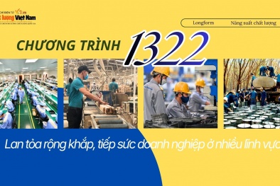 [Longform ] Chương trình 1322: Lan tỏa rộng khắp, tiếp sức doanh nghiệp ở nhiều lĩnh vực