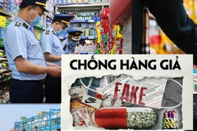 Tội phạm về hàng giả theo pháp luật hình sự của Pháp và Hoa Kỳ - Một số vấn đề có ý nghĩa tham khảo cho pháp luật hình sự Việt Nam