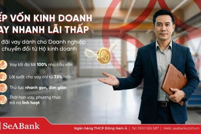 Nghịch lý “lính mới”: Kinh doanh nhiều năm vẫn khó vay vốn sau khi chuyển đổi doanh nghiệp