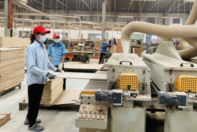 Tiêu chuẩn SA 8000 khẳng định cam kết của doanh nghiệp với quyền lợi người lao động