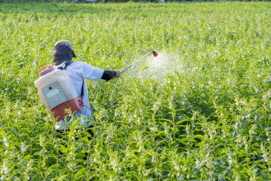 Khuyến cáo thuốc diệt nấm trong nông nghiệp có thể nguy hại tới sức khỏe