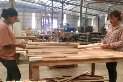 Tăng năng suất, nâng vị thế: Hướng đi bền vững cho ngành gỗ Việt Nam