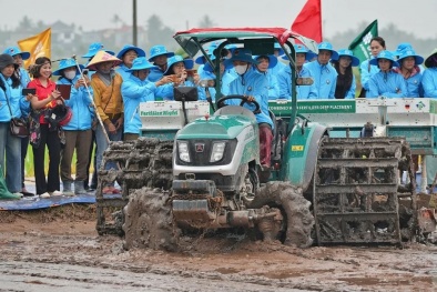 Thúc đẩy sản xuất lúa chất lượng cao gắn với giảm phát thải