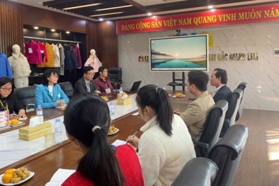 Triển khai phần mềm quản lý năng suất: Bước tiến quan trọng nâng cao hiệu quả sản xuất