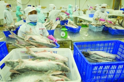 Doanh nghiệp thực phẩm nâng cao năng suất, chất lượng nhờ áp dụng tiêu chuẩn IFS 