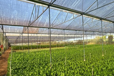 Mô hình tích hợp tiêu chuẩn và công cụ cải tiến phát huy hiệu quả trong doanh nghiệp