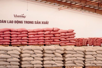 Doanh nghiệp Gia Lai thúc đẩy nâng cao năng suất, chất lượng để tạo đà bứt phá giai đoạn 2026–2030