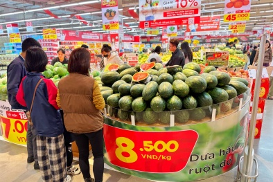 Siêu thị đồng hành tiêu thụ dưa hấu của nông dân tỉnh Gia Lai
