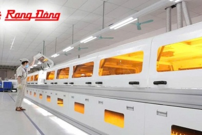 SMEs 'lột xác' nhờ ISO và chuyển đổi số: Hành trình từ thích nghi đến bứt phá