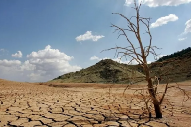 Tiêu chuẩn quốc tế mở lối cho chiến lược thích ứng khí hậu dài hạn