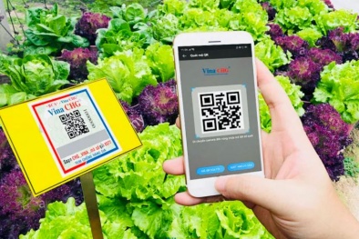 Truy xuất nguồn gốc: Nâng chuẩn quản trị cho doanh nghiệp Việt