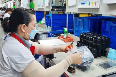 'Bệ đỡ’ giúp doanh nghiệp nông thôn đổi mới công nghệ, nâng cao năng suất