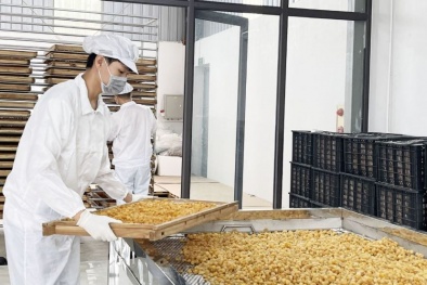 Từ tiêu chuẩn đến công nghệ: Doanh nghiệp địa phương nâng cao năng suất, chất lượng