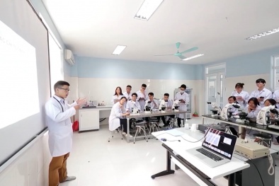 Quyết định 224/QĐ-TTg: Đưa tài sản trí tuệ thành nguồn lực của nền kinh tế tri thức