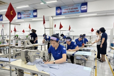 Chuẩn hóa chất lượng đầu vào - 'chìa khóa' giúp doanh nghiệp nâng cao năng suất