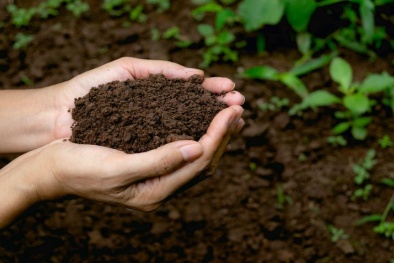 Chuẩn hóa kiểm soát vi sinh trong phân bón: Ý nghĩa của TCVN 14387:2025