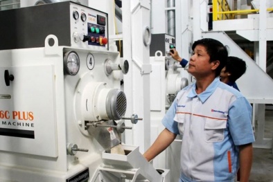 Nâng cao năng suất để thích ứng biến động thị trường