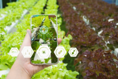 Hà Nội hướng tới hệ thống định danh và truy xuất nguồn gốc hàng hóa thống nhất