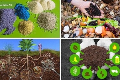 Hoàn thiện phương pháp xác định axit salicylic trong phân bón theo TCVN 14470:2025