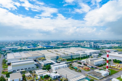 IMC đồng hành cùng doanh nghiệp nâng cao năng lực quản trị và tuân thủ thuế