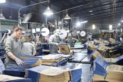 Chuyển đổi xanh, chuyển đổi số: Khi năng suất là thước đo thực chất