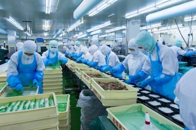Tiêu chuẩn HACCP: Giải pháp nâng cao năng lực cạnh tranh cho doanh nghiệp thực phẩm