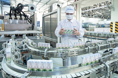 ISO 14001: “Đòn bẩy xanh” giúp doanh nghiệp nâng cao năng suất và hội nhập quốc tế