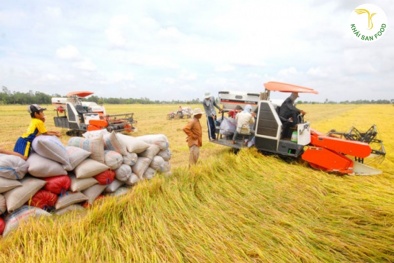 Thúc đẩy xuất khẩu gạo sang thị trường Senegal