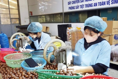 Từ sản lượng đến giá trị: Bước chuyển của nông nghiệp thời công nghệ