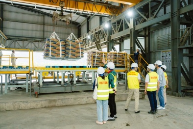 Doanh nghiệp thời carbon thấp: Không xanh, mất thị trường