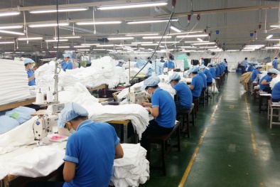 ISO 9001 kết hợp Kaizen: Giải pháp “vàng” nâng cao năng suất và chất lượng cho doanh nghiệp Việt