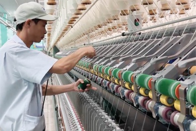 Chi phí leo thang, đơn hàng chao đảo: Doanh nghiệp buộc tăng tốc