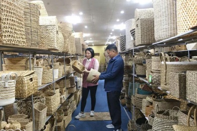 Phát triển sản phẩm OCOP: Không thể chỉ dừng ở số lượng mà phải nâng chất lượng