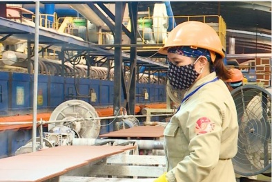 Tăng cường khai thác tài sản trí tuệ nhằm nâng cao năng suất sản phẩm