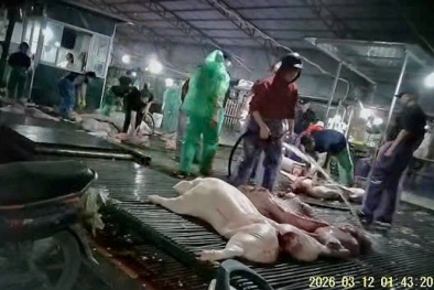 Cần mạnh tay xử lý cơ sở tuồn thịt lợn bệnh, kém chất lượng đi tiêu thụ