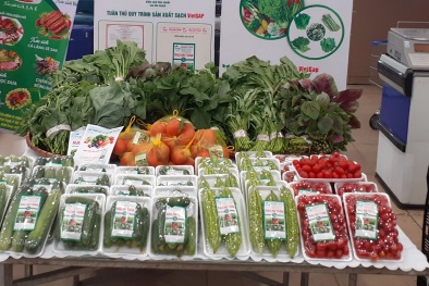 Chương trình 1322: Động lực nâng cao năng suất, chất lượng tại Gia Lai