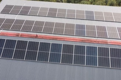 Đẩy mạnh năng lượng xanh trong sản xuất: Xu hướng tất yếu của doanh nghiệp