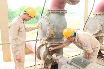 Sáng kiến từ công nhân: Động lực nâng cao năng suất doanh nghiệp