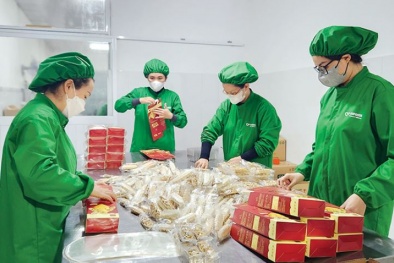 Phát triển doanh nghiệp gắn với nâng cao năng suất, chất lượng